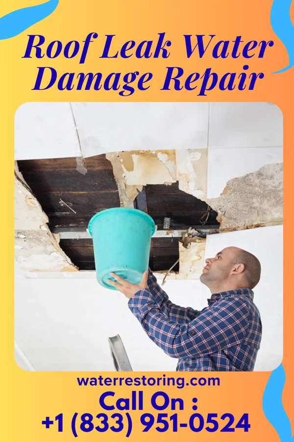 Roof Leak Water Damage Repair in Winnsboro Mills, SC