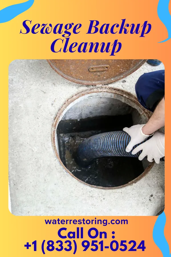 Sewage Backup Cleanup in Winnsboro Mills, SC